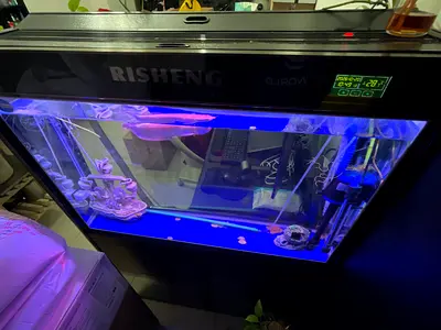 Aquarium Big Size with Arwana and Pump