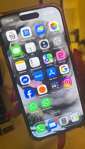 iPhone 17 Pro 256 g broken display