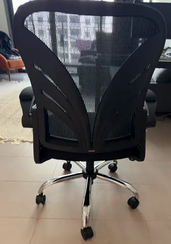 Ergonomic Mesh Office Chair with Adjustable Armrests and Lumbar Support