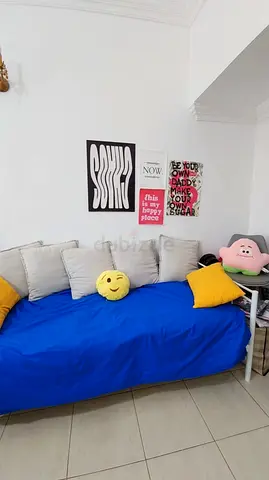 daybed/sofa with medical mattress