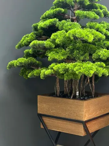 Artificial Bonsai Tree 95×120 cm – No Watering Needed, UAE Delivery