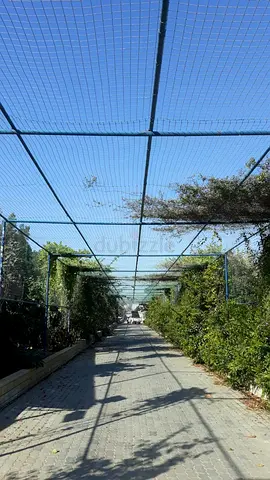 Garden roof