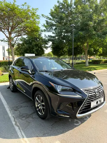 2020 Lexus NX 300 GCC Specs in Excellent Condition