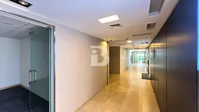 Fitted Commercial Office for Rent | DIP 1