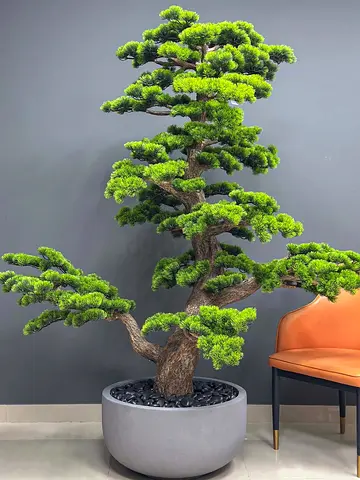 Bonsai Tree 190 cm – Artificial, UAE Delivery