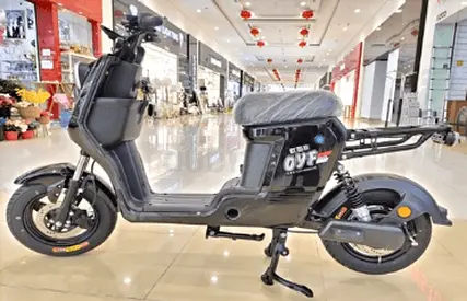 ED01 800W Electric Bike