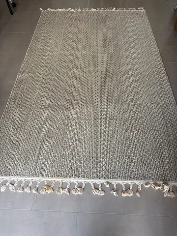 Neutral woven area rug with tassel edges 160x250cm