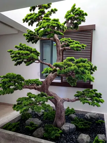 Bonsai Tree 320 cm – Artificial, UAE Delivery