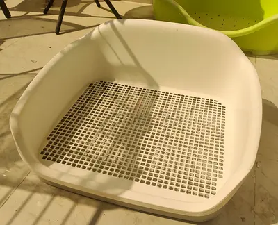 Plastic Dog Toilet with Raised Grid - Good Condition