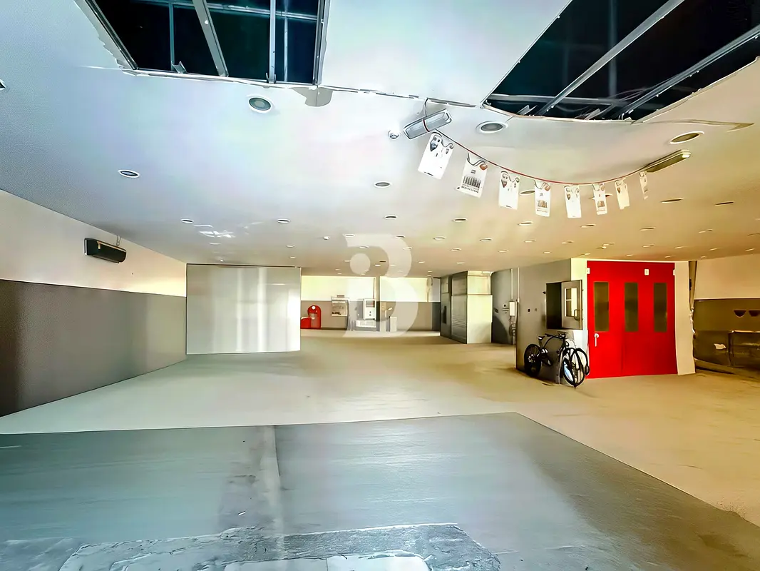 gallery-image
