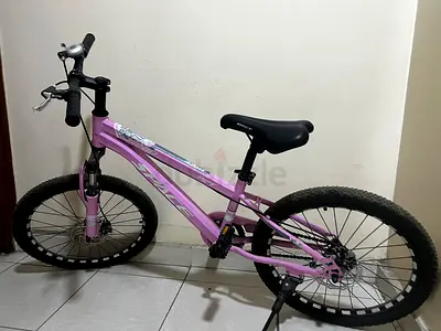 Lightly used 22" bike perfect for growing kids/teens