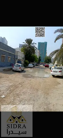 الراشديه عجمان