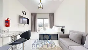 Bright Modern Studio • Waha Living