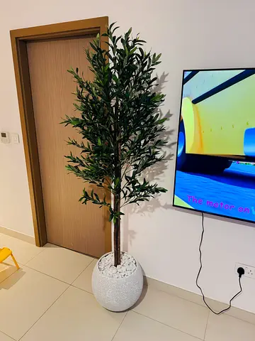 Tall Artificial Olive 🫒 Tree in White Pebble Planter