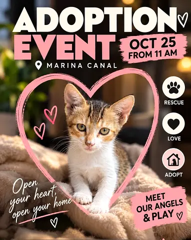 Kitten + Young Mother Adoption