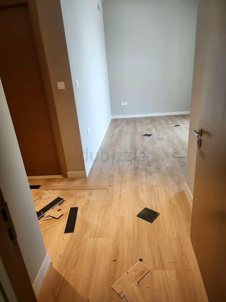 DPV_View_Image_2