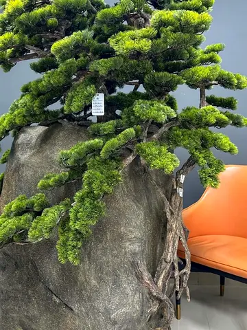 Artificial Bonsai Tree on Stone Base 210×170 cm – No Watering Needed