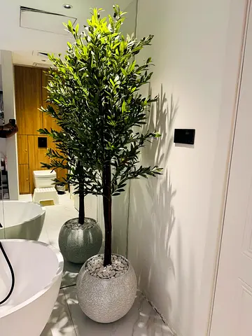 ARTIFICIAL OLIVE 🫒 trees in decorative stone-FIVER POT