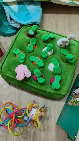 Plush Felt Matching/Activity Toy Cushion with Detachable Pieces (Good Condition)
