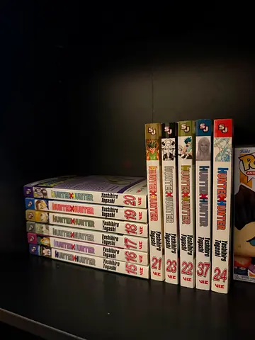 Bundle of Hunter x Hunter manga volumes (set of mixed volumes)