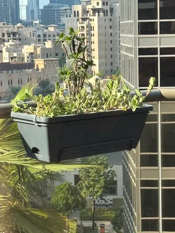 Balcony railing planter box - black plastic, kind flowers : - portulaca - - Euphorbia