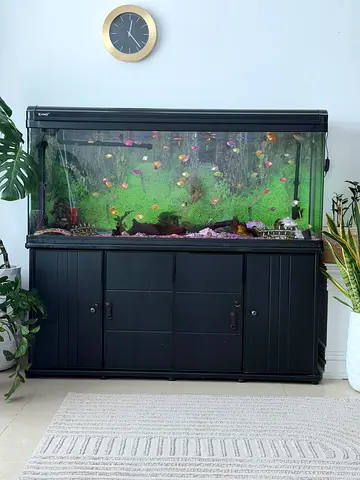 Large Glass Aquarium with Cabinet Stand - Ready for Fish