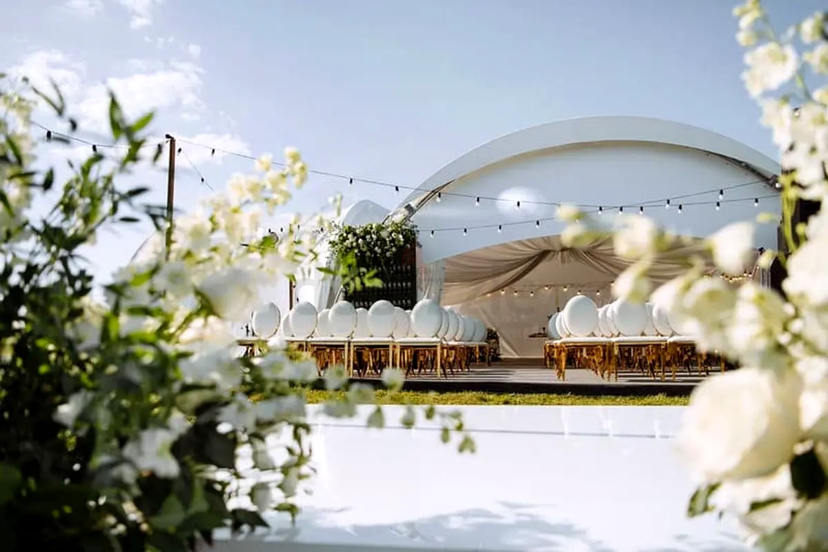 DPV_View_Image_2