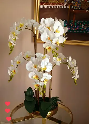Orchid in golden vase