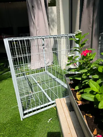 Rabbit cages