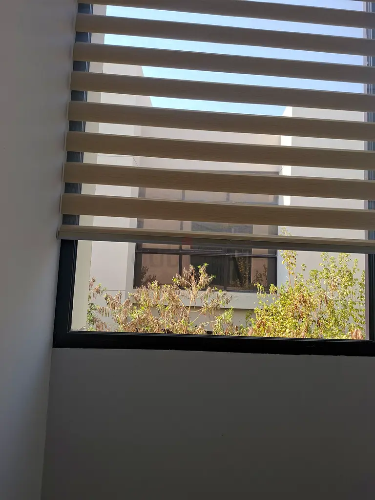 DPV_View_Image_2