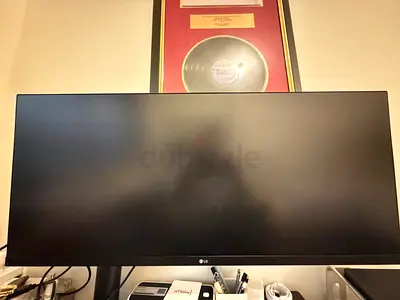 LG 34” UltraWide QHD Monitor