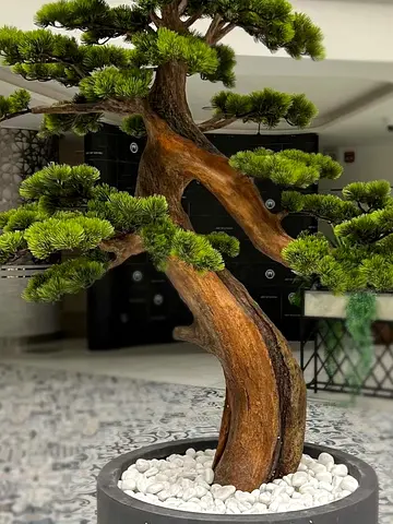 Bonsai Tree 175 cm – Artificial, UAE Delivery