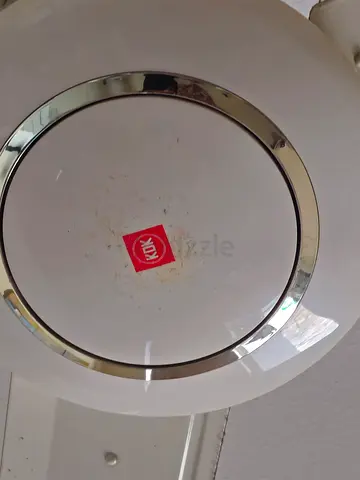 Ceiling fan