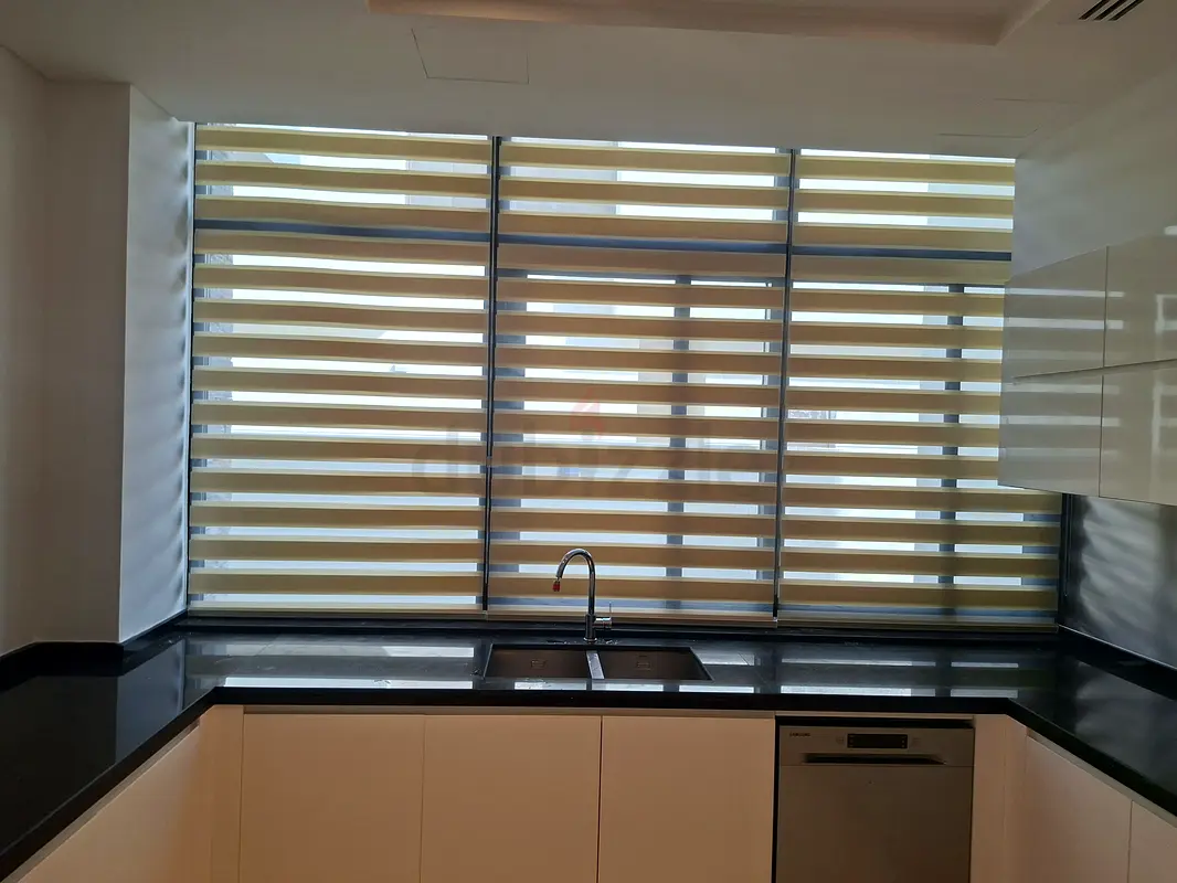 DPV_View_Image_0