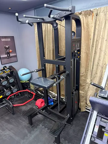 Multi-function assisted Dip & Pull-up gym machine