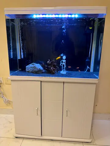 Aquarium