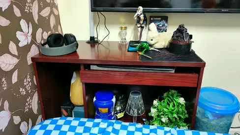 Compact Wooden TV Stand