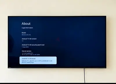 Sony Bravia 4K Android TV (BRAVIA 4K VHZ) - Wall Mounted, excellent condition