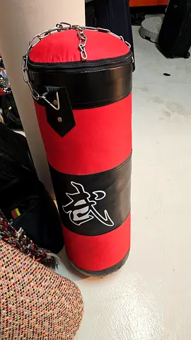 Martial arts punch bag