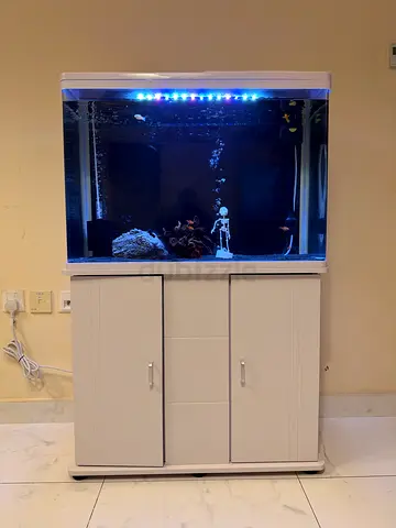 Aquarium