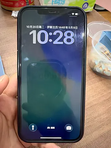 iPhone 12 Pro Max 256g in good working condition with case