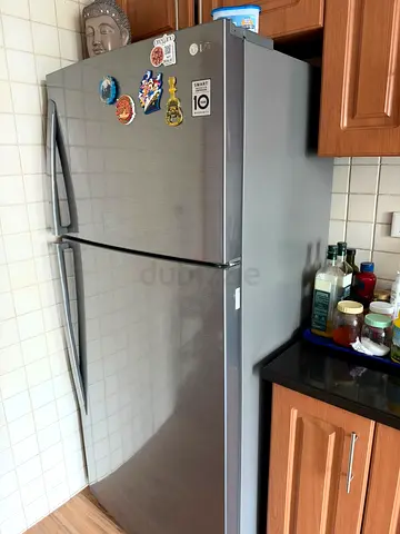 LG Double Door Refrigerator - Good Condition, 10 Year Compressor