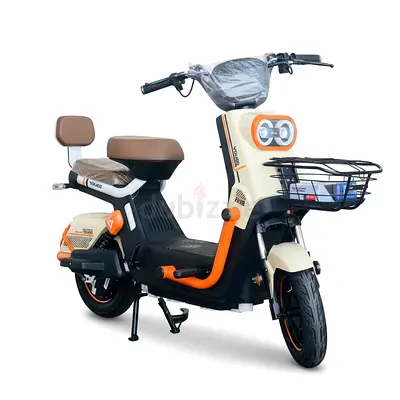 T9 Electric Bike 48V 20Ah 800W
