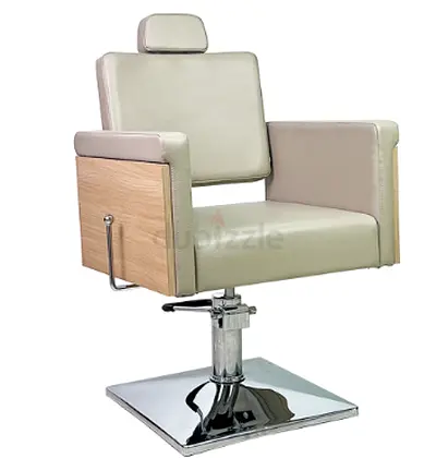Modern Salon/Barber Hydraulic Styling Chair with Headrest - Beige