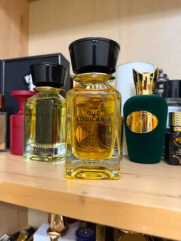 Oud Aquilaria - Oman Luxury