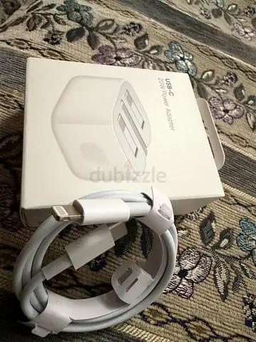 Apple c/lighting adaptor and cable