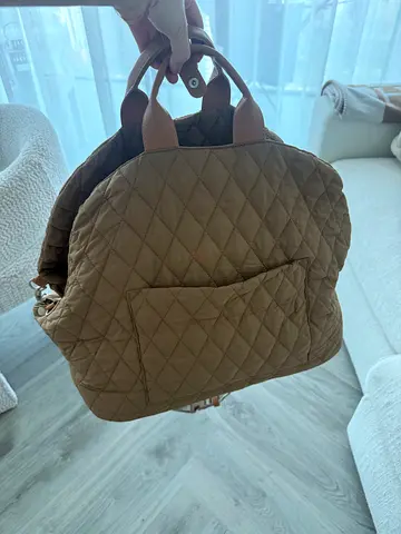 Dog carry on bag