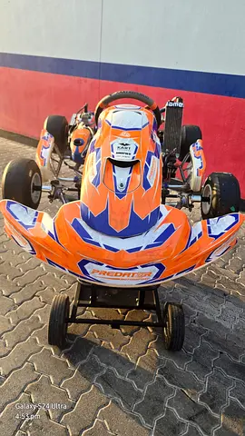 Children's 60cc Kart Republic Mini 60 go kart