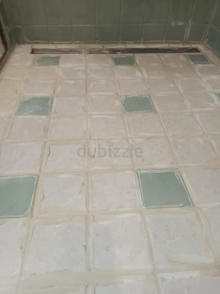 DPV_View_Image_0