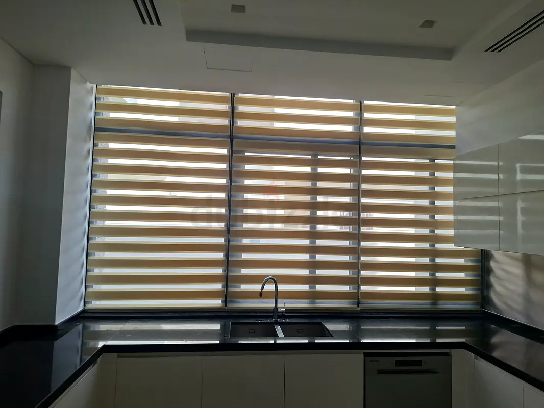 DPV_View_Image_1
